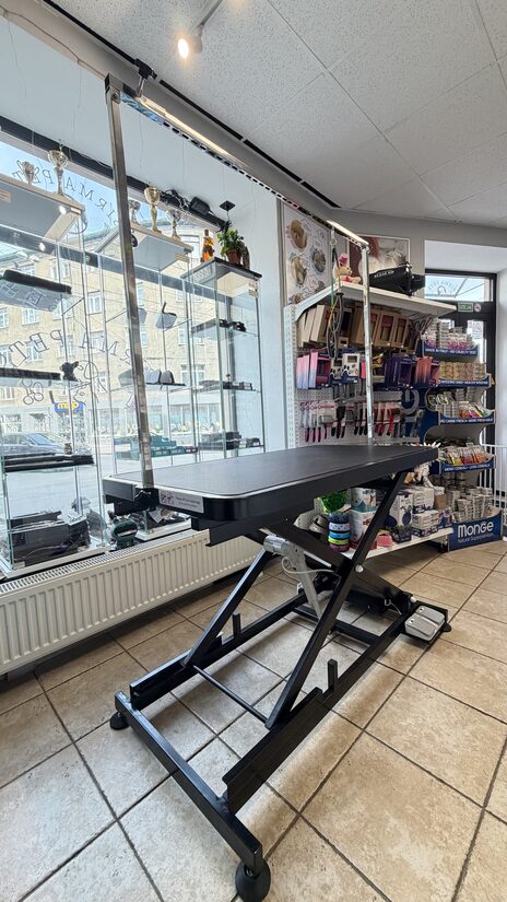 JirPet Electric table 007-R Standart Version, 125*65cm - Elektriskais paceļamais mājdzīvnieku kopšanas (grūminga) galds 